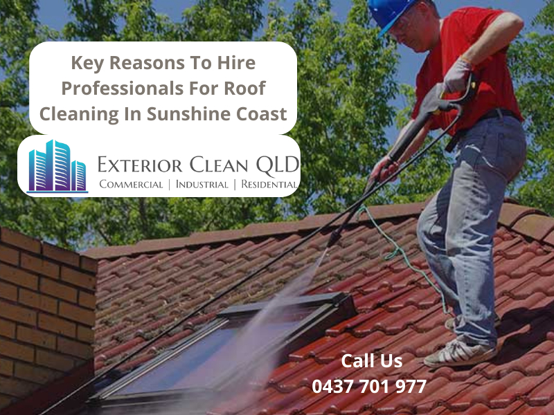 Key Reasons To Hire Professionals For Roof Cleaning In Sunshine Coast