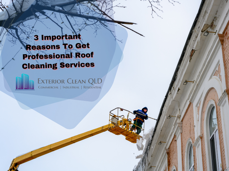 3 Important Reasons To Get Professional Roof Cleaning Services