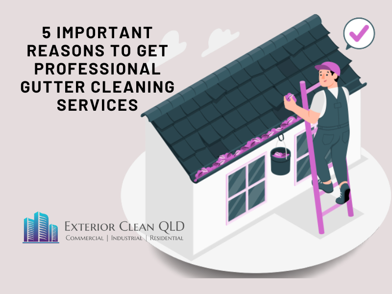 5 Important Reasons To Get Professional Gutter Cleaning Services