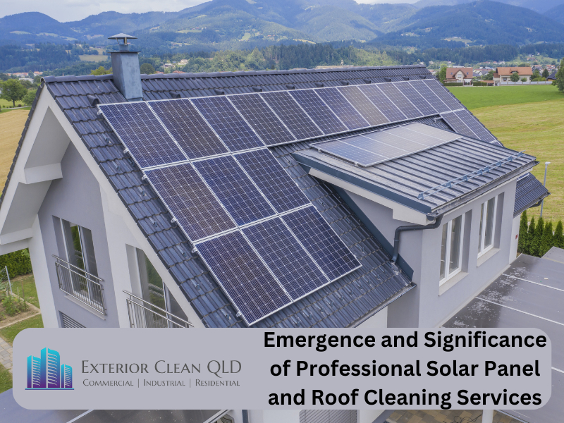 Emergence and Significance of Professional Solar Panel and Roof Cleaning Services