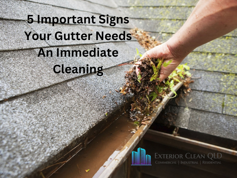 5 Important Signs Your Gutter Needs An Immediate Cleaning