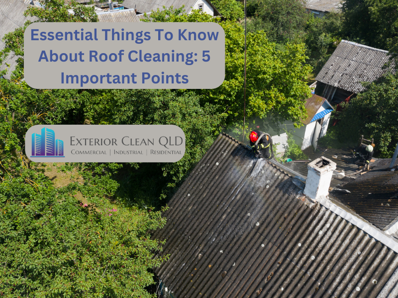 Essential Things To Know About Roof Cleaning: 5 Important Points