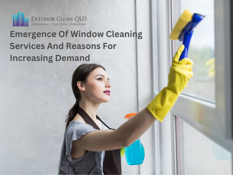 Emergence Of Window Cleaning Services And Reasons For Increasing Demand