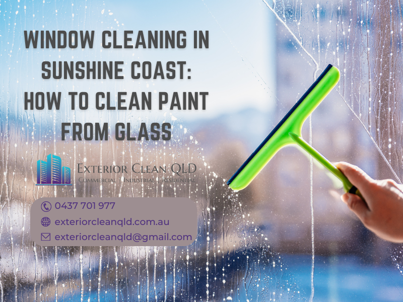 Window Cleaning In Sunshine Coast: How To Clean Paint From Glass