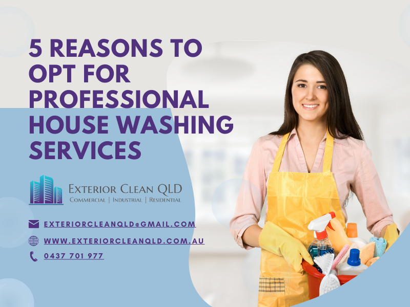 5 Reasons To Opt For Professional House Washing Services