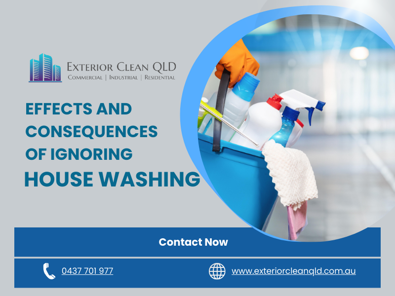 Effects And Consequences Of Ignoring House Washing